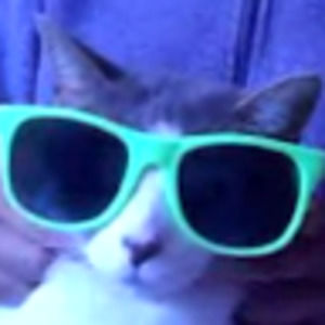 Meet your Posher, June